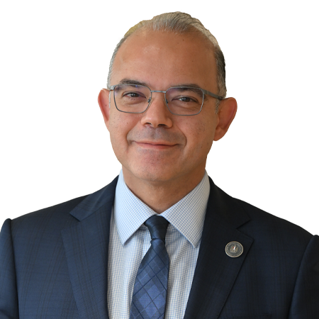 H.E. Mohamed Farid Saleh